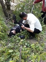 چهار نفر بر اثر سقوط از درخت گردو در استان آذربایجان شرقی مصدوم شدند
