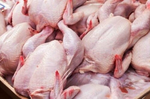 کشف ۵۵۰کیلوگرم گوشت مرغ خارج از شبکه توزیع در”مراغه”