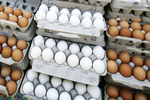 قیمت تخم مرغ بسته ۱۵ عددی ۷۴ هزار تومان شد!