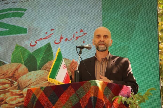 گردوی سلسله مرغوب ترین محصول تولیدی لرستان/ ظرفیت باغات گردو برای  تبدیل شدن به قطب گردشگری کشاورزی