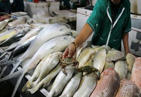 سرانه مصرف ماهی در لرستان پایین است