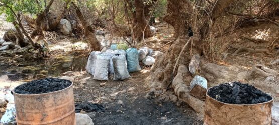 متلاشی شدن باند قاچاق ذغال در منطقه حفاظت شده سفید کوه خرم آباد