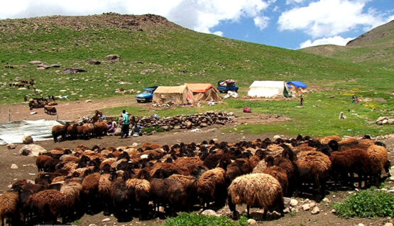 عشایر خوزستان از اتراق در حاشیه رودخانه‌ها خودداری کنند