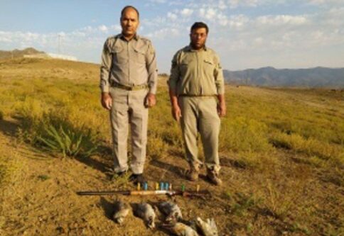 دستگیری شکارچیان کبک در هوراند