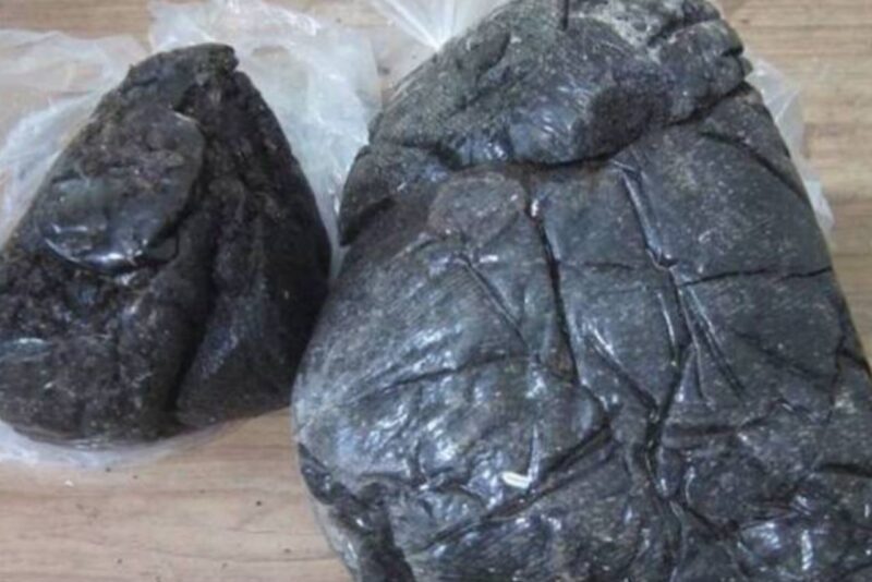 دستگیری مواد فروش میانه ای با ۲ کیلوگرم انواع مواد مخدر