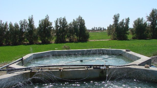 فراهم شدن شرایط اشتغالزایی مطلوب با استفاده از استخرهای دو منظوره کشاورزی و پرورش آبزیان