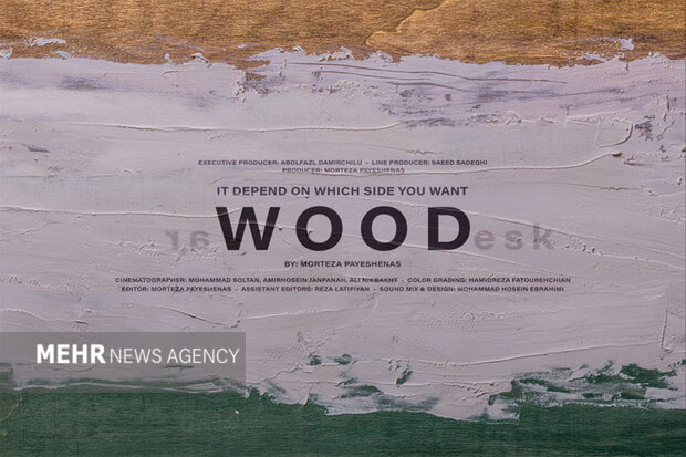 Iranian documentary ‘Wood’ to vie at Italian film festival