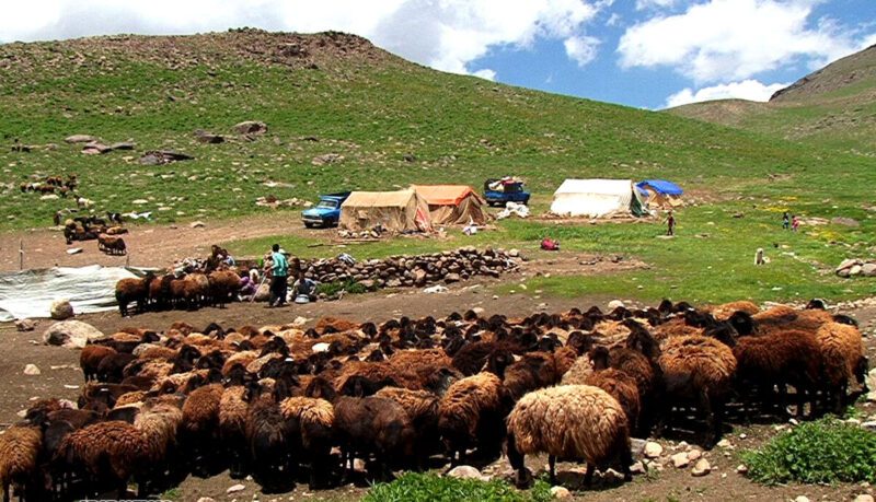 سیاست های قرارگاه به منظور ماندن روستاییان در روستاهای لرستان اجرا می شود