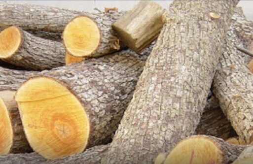 کشف چوب فاقد مجوز در “ملکان”