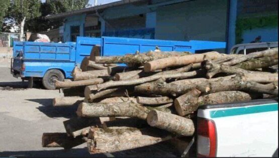 دستگیری عاملان قطع درختان پارک جنگلی مشگین شهر