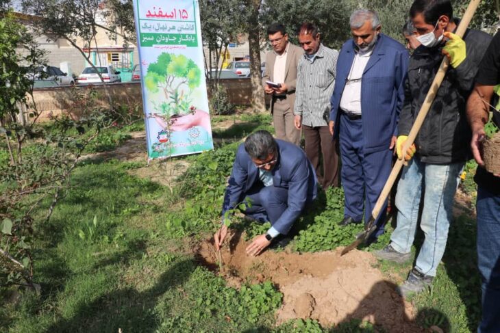 کاشت نهال به مناسبت روز درختکاری توسط شهردار مسجدسلیمان