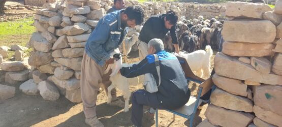 رزمایش محرومیت زدایی برای عشایر و دامداران مناطق محروم و صعب العبور شهرستان مسجدسلیمان در راستای امنیت غذایی پایدار+گزارش تصویری