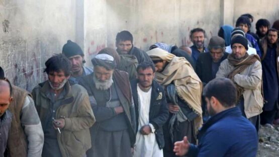 سازمان ملل: یک سوم خانواده‌های افغان از مواد مخدر متاثر شده‌اند