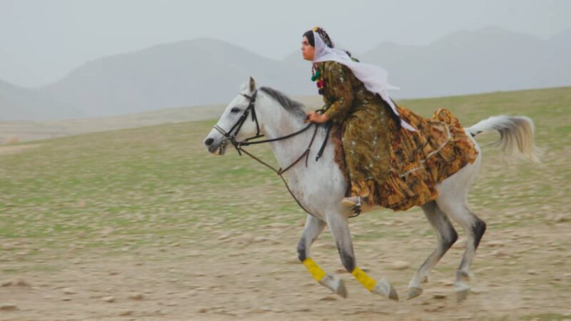 تفنگداران روی پرده ی سینما فلسطین