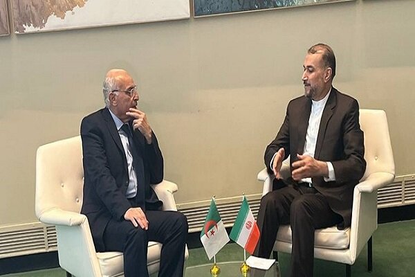 Iran FM meets counterparts in New York