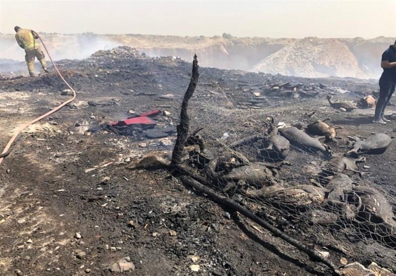 تلف شدن ۱۸ راس بز در آتش سوزی دامداری سیمین دشت فیروزکوه