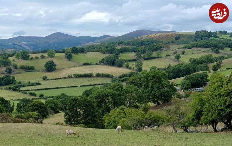 a9d39c77a0f960b394729d71ac070c1e