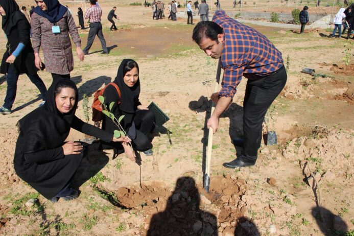 جشنواره دار (درخت) در کمپ تفریحی، فرهنگی، گردشگری چم آسیاب برگزار شد