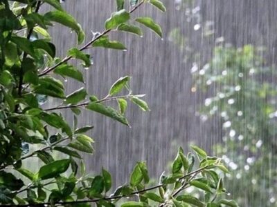 بارش باران و کاهش دمای برخی استان ها
