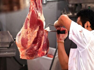 جزئیات عرضه گوشت گرم در ایام عید