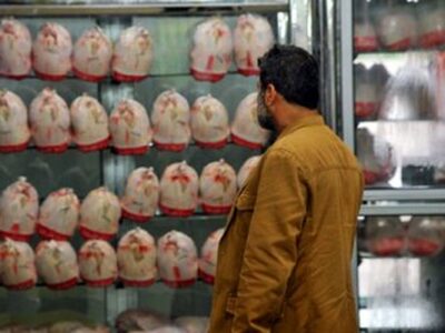 قیمت گوشت مرغ در بازار چقدر شد؟