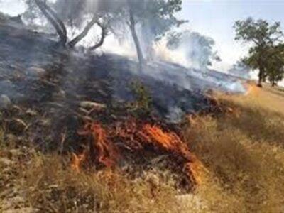 آتش‌سوزی در اراضی منطقه حفاظت‌شده هفت شهیدان مسجدسلیمان