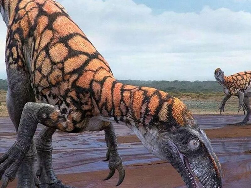 آیا در ایران هم دایناسورها زندگی می‌کردند، آنها در کجای ایران بودند؟