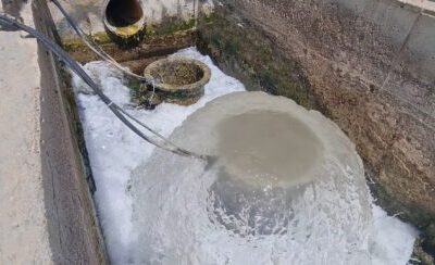 کام سهامداران نیشکر شیرین شد