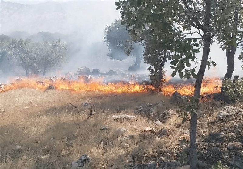آتش‌سوزی جنگل‌ها ادامه دارد / نقشۀ‌ راه مقابله با آتش نداریم