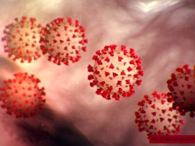 افزایش گردش ویروس کرونا در ایران؛ ماسک بزنید