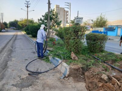 مجموعه اقدامات معاونت خدمات شهری شهردار مسجدسلیمان (واحد فضای سبز) در سطح شهر