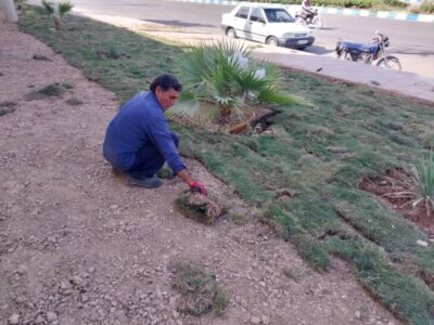 احیای فضای سبز بوستان حدفاصل مسیر سی برنج به دره اشکفت توسط معاونت خدمات شهری شهرداری مسجدسلیمان