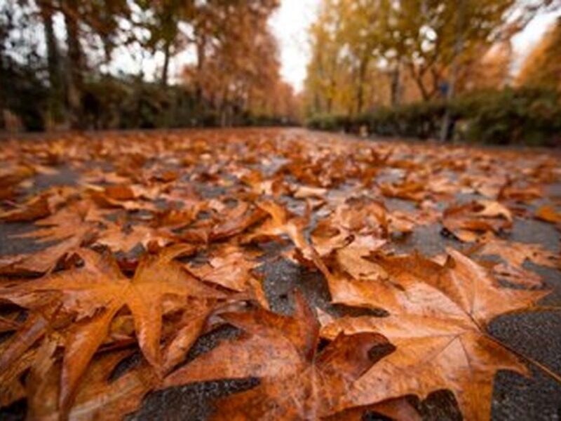 پاییز دیرتر از حد معمول آغاز می‌شود؟