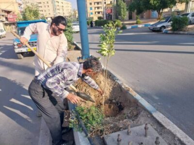 عملیات کاشت درخت در برخی بلوارهای سطح شهر مسجدسلیمان