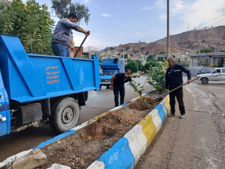 آغاز عملیات کاشت درخت در بلوارهای سطح شهر مسجدسلیمان