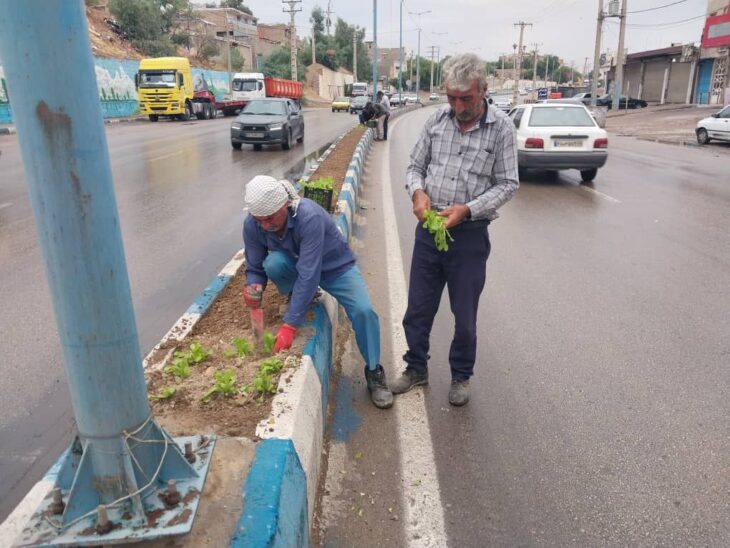کاشت گل فصلی در سطح بلوارها و میادین شهر مسجدسلیمان آغاز شد