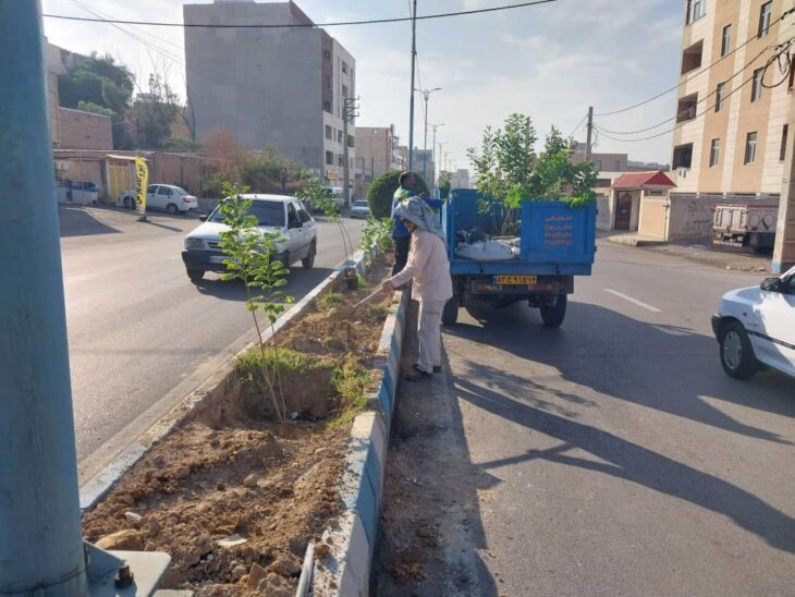 اقدامات و عملکرد هفته گذشته معاونت خدمات (واحد فضای سبز) شهرداری مسجدسلیمان