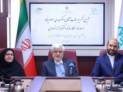 عارف: دریاچه ارومیه قربانی وضعیت بی‌استانداردی در کشور است