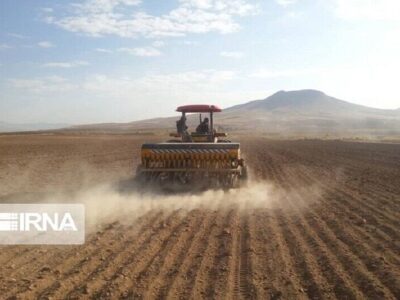 مجلس نحوه تسویه بدهی صندوق بیمه محصولات کشاورزی به بانک کشاورزی را مشخص کرد