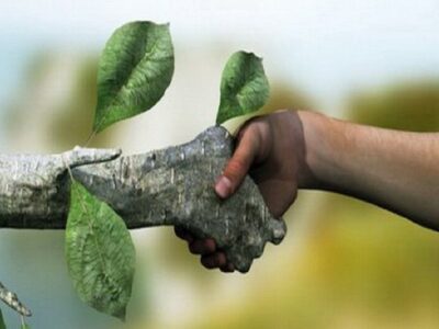 تشکل های مردم نهاد، یاریگران محیط زیست