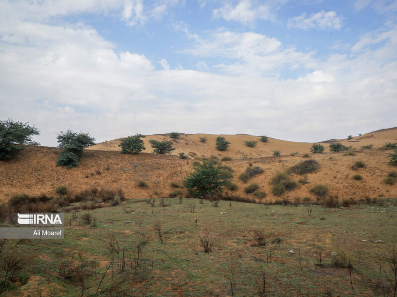 شفافیت و مشارکت برای کارآمدی ارزیابی محیطزیستی پروژهها