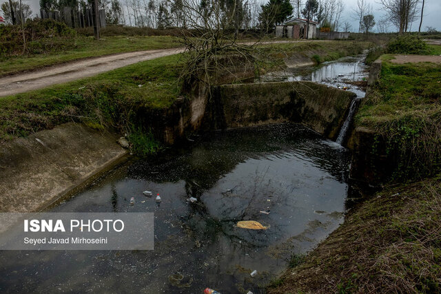 ۵۰۰ هکتار از مزارع کشاورزی لرستان با فاضلاب آبیاری میشود!