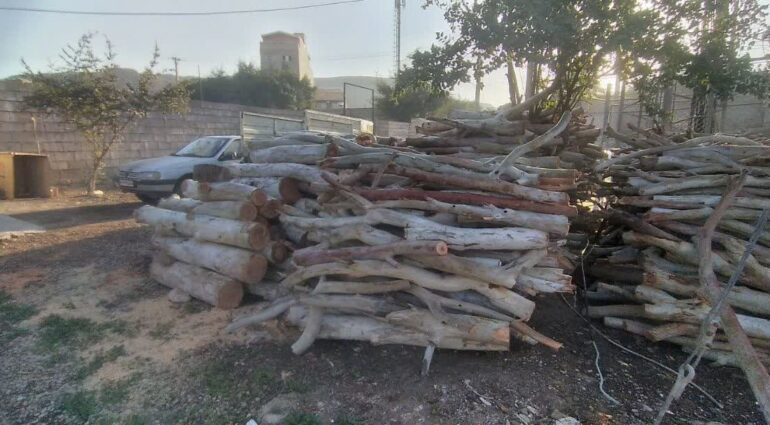 بازداشت قاچاقچیان چوب در مسجدسلیمان ادامه داردکشف و ضبط یک تن چوپ در مسجدسلیمان