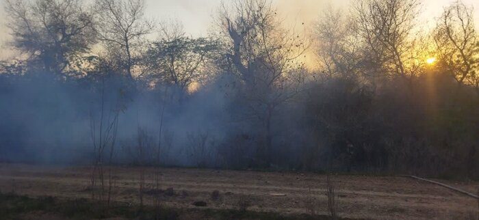 گردشگران، بیشه زار حمیدآباد دزفول را به آتش کشیدند