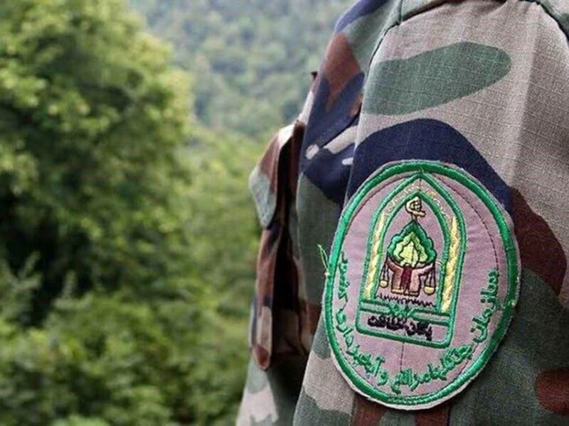 بازداشت ۴ ضارب جنگلبانی نور