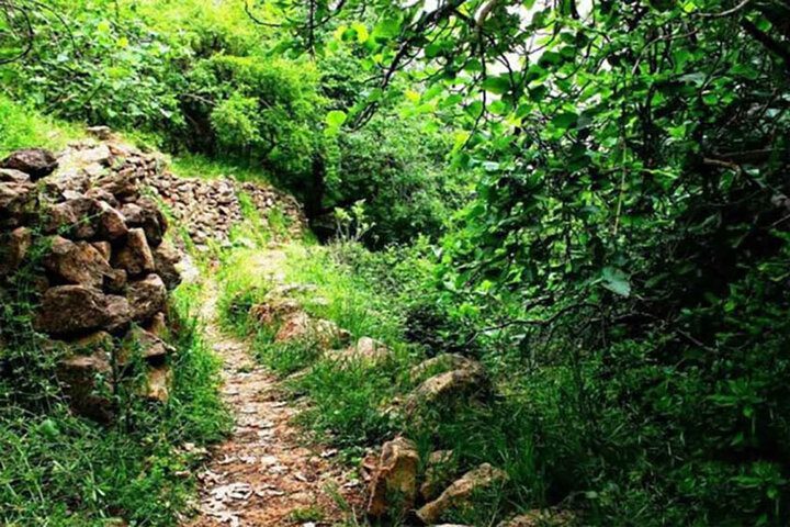 «دره انار گتوند» پناهگاهی خنک در قلب گرمای خوزستان