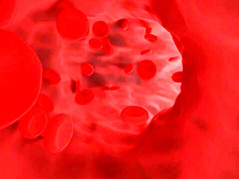 ۹ ماده موثر برای بهبود گردش خون در بدن