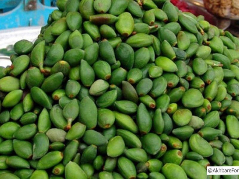 خطر مسمومیت با نوبرانه‌ بهار؛ مراقب مصرف این نوع چغاله‌ها باشید