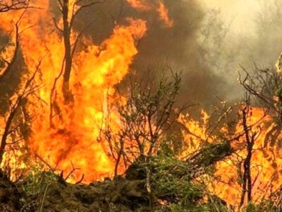 آتش‌سوزی گسترده در پارک ملی دز خوزستان/ ویدئو