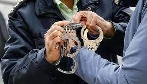 فردی که راننده تریلی را به خاطر حمل بار تهدید می‌کرد، بازداشت شد/ ویدئو